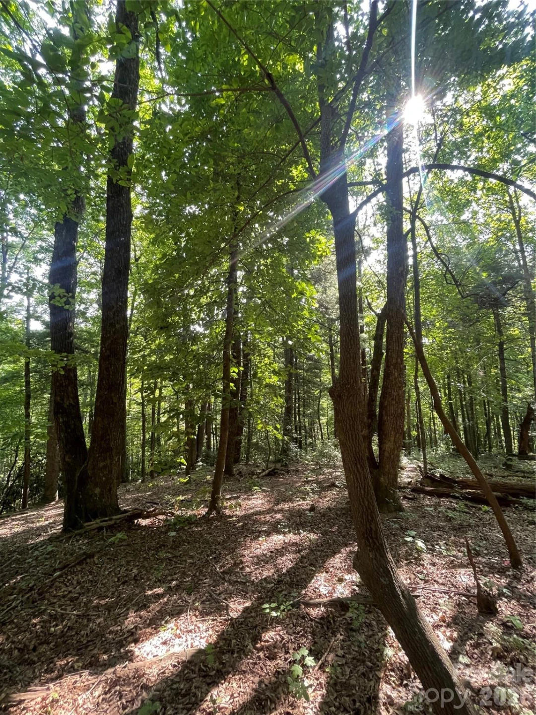 Lot # 21 Haverhill Court #21 - Photo 9