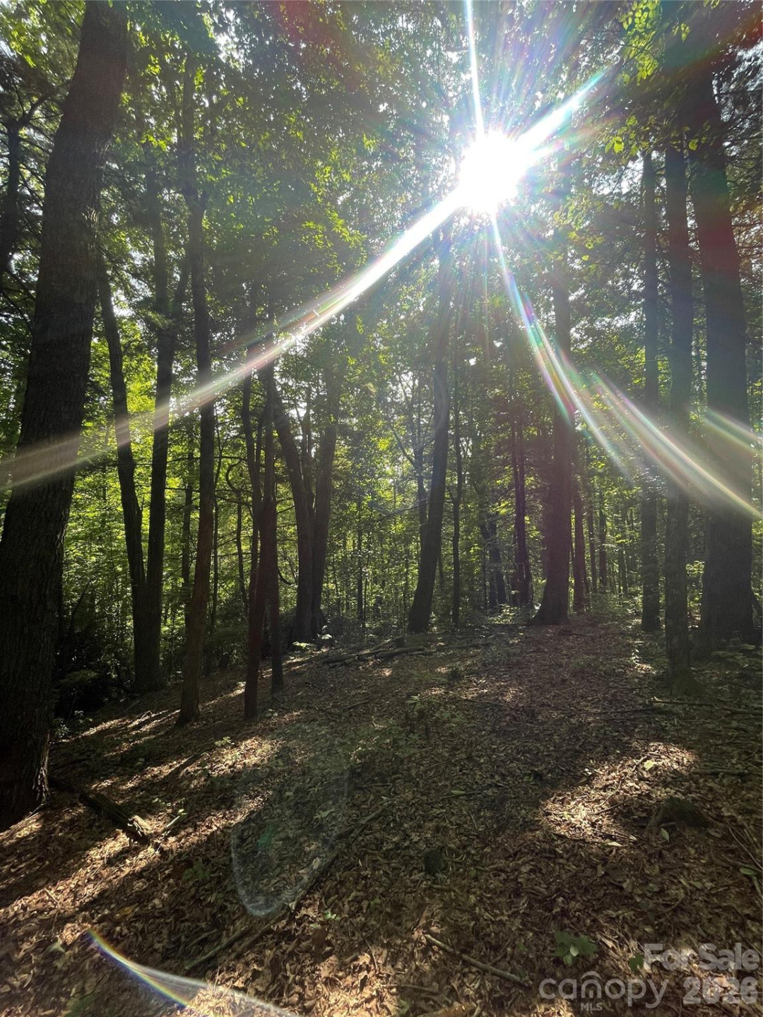 Lot # 21 Haverhill Court #21 - Photo 10