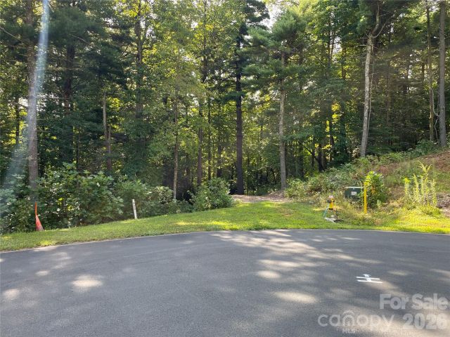 Lot 20 Haverhill Court, Flat Rock, NC, 28731