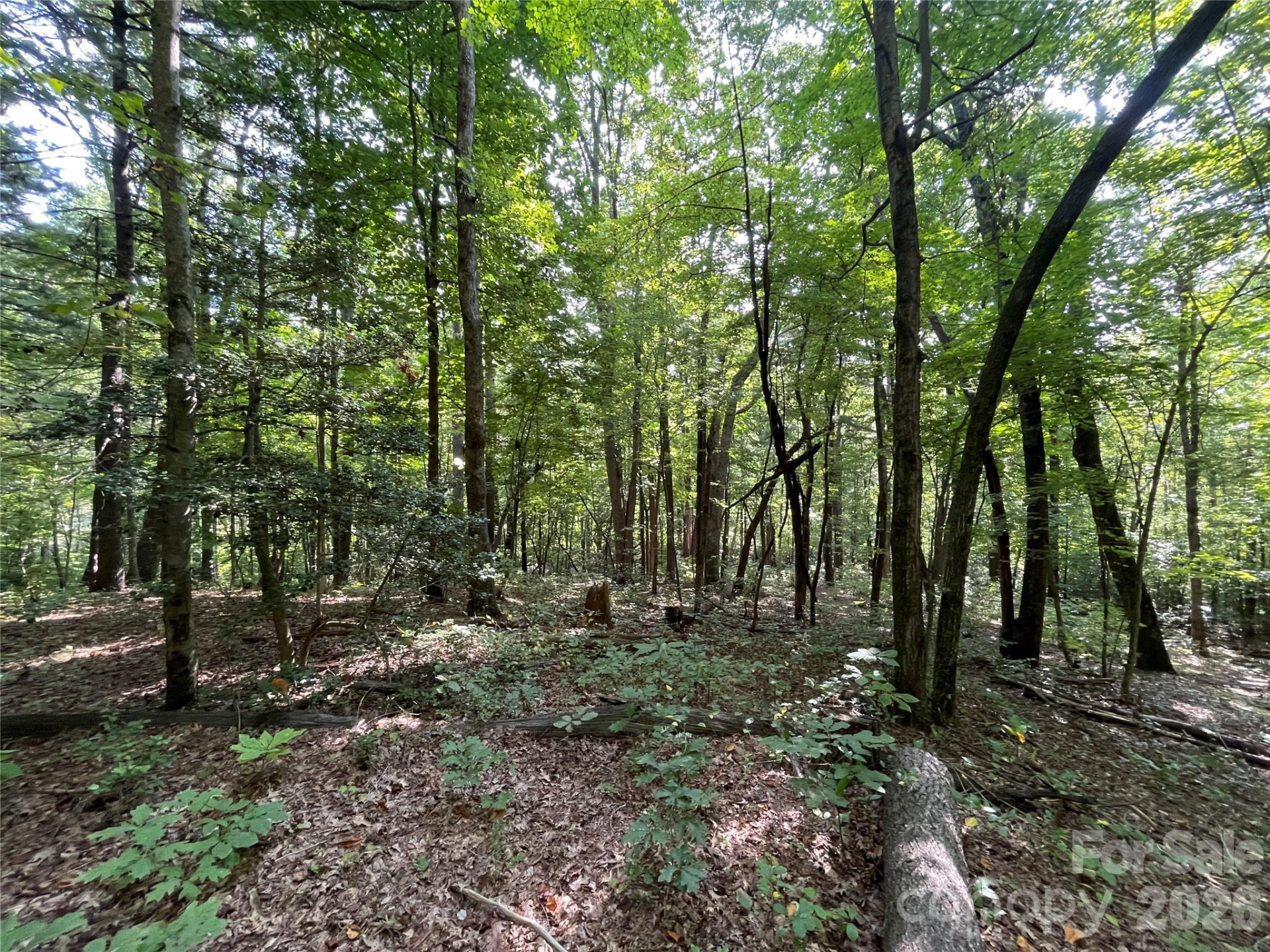 Lot 20 Haverhill Court #20 - Photo 12