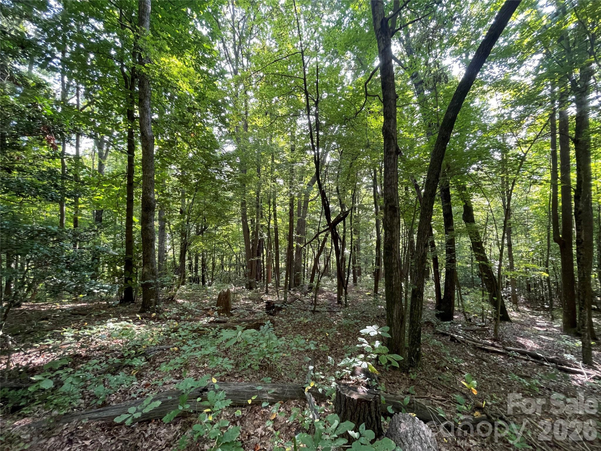 Lot 20 Haverhill Court #20 - Photo 13