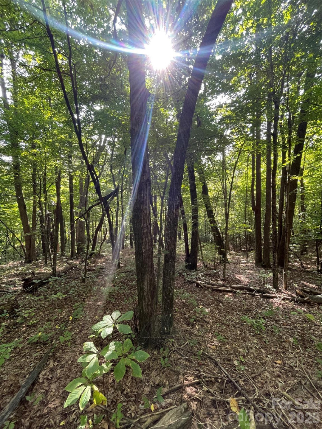 Lot 20 Haverhill Court #20 - Photo 14