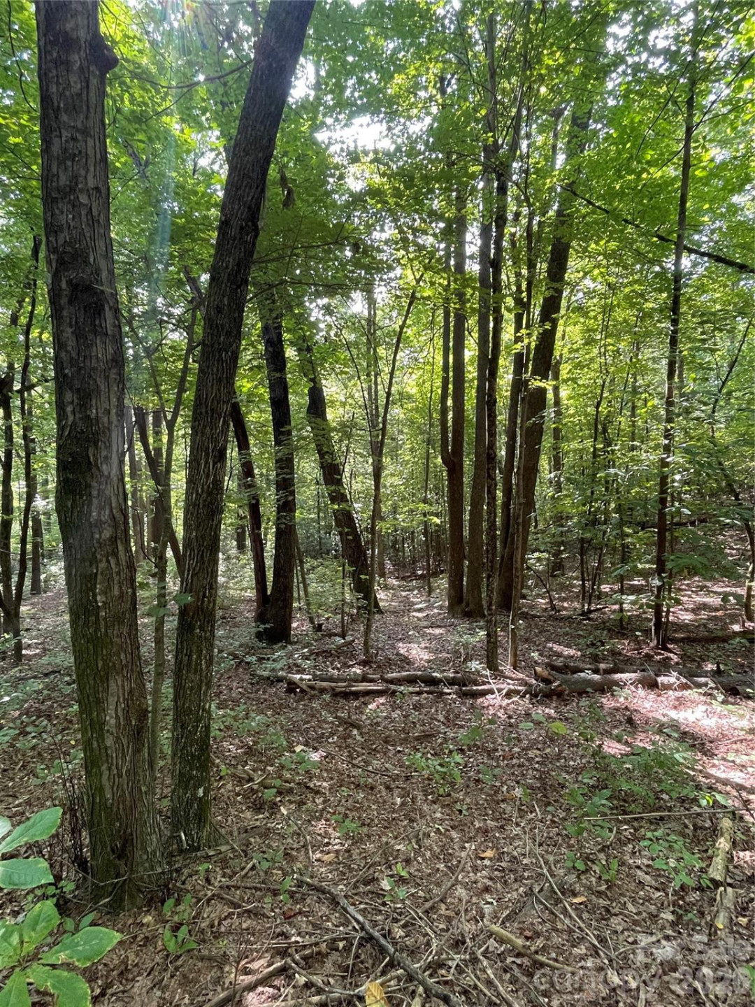 Lot 20 Haverhill Court #20 - Photo 15