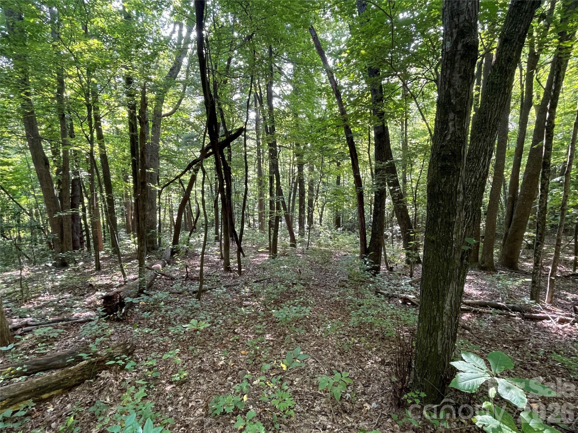 Lot 20 Haverhill Court #20 - Photo 16