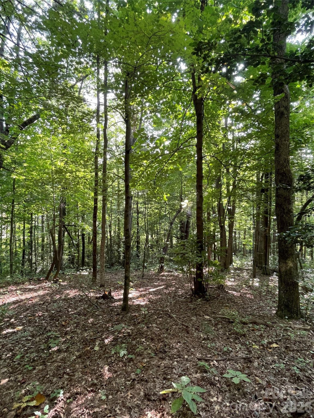 Lot 20 Haverhill Court #20 - Photo 18