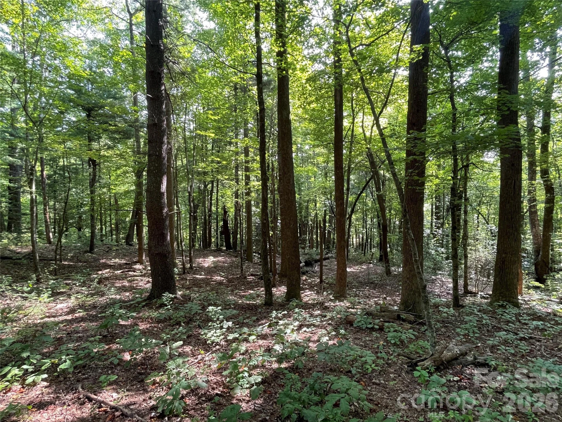 Lot 20 Haverhill Court #20 - Photo 22