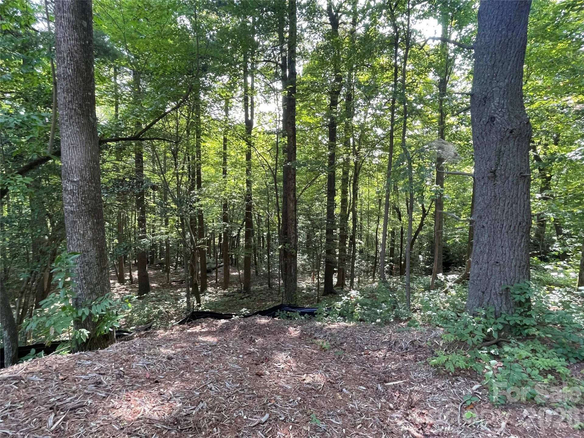 Lot 20 Haverhill Court #20 - Photo 24