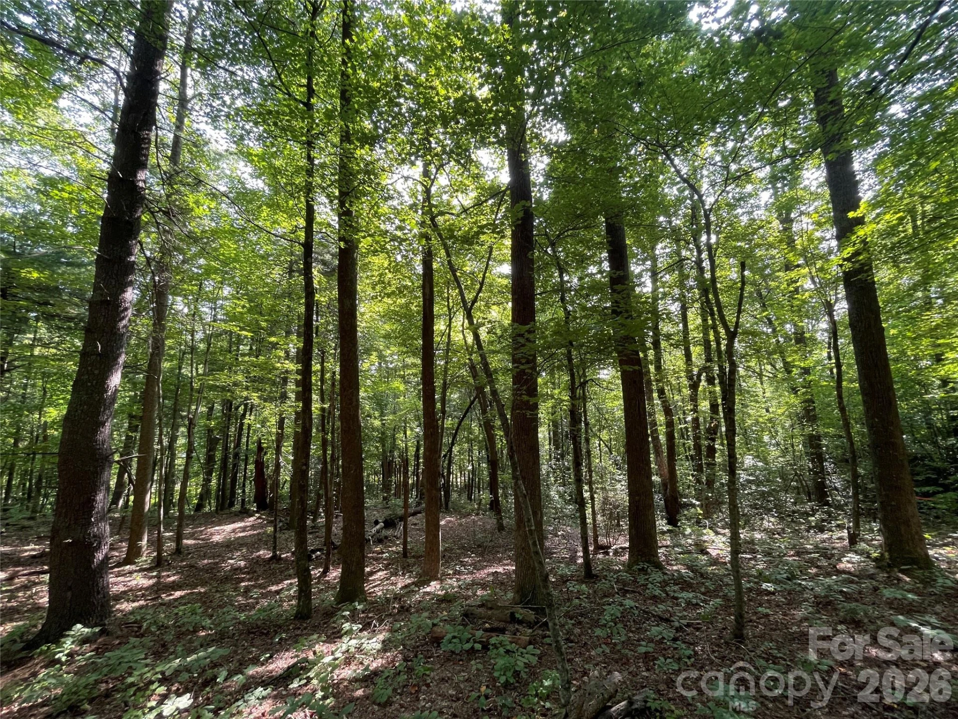 Lot 20 Haverhill Court #20 - Photo 4