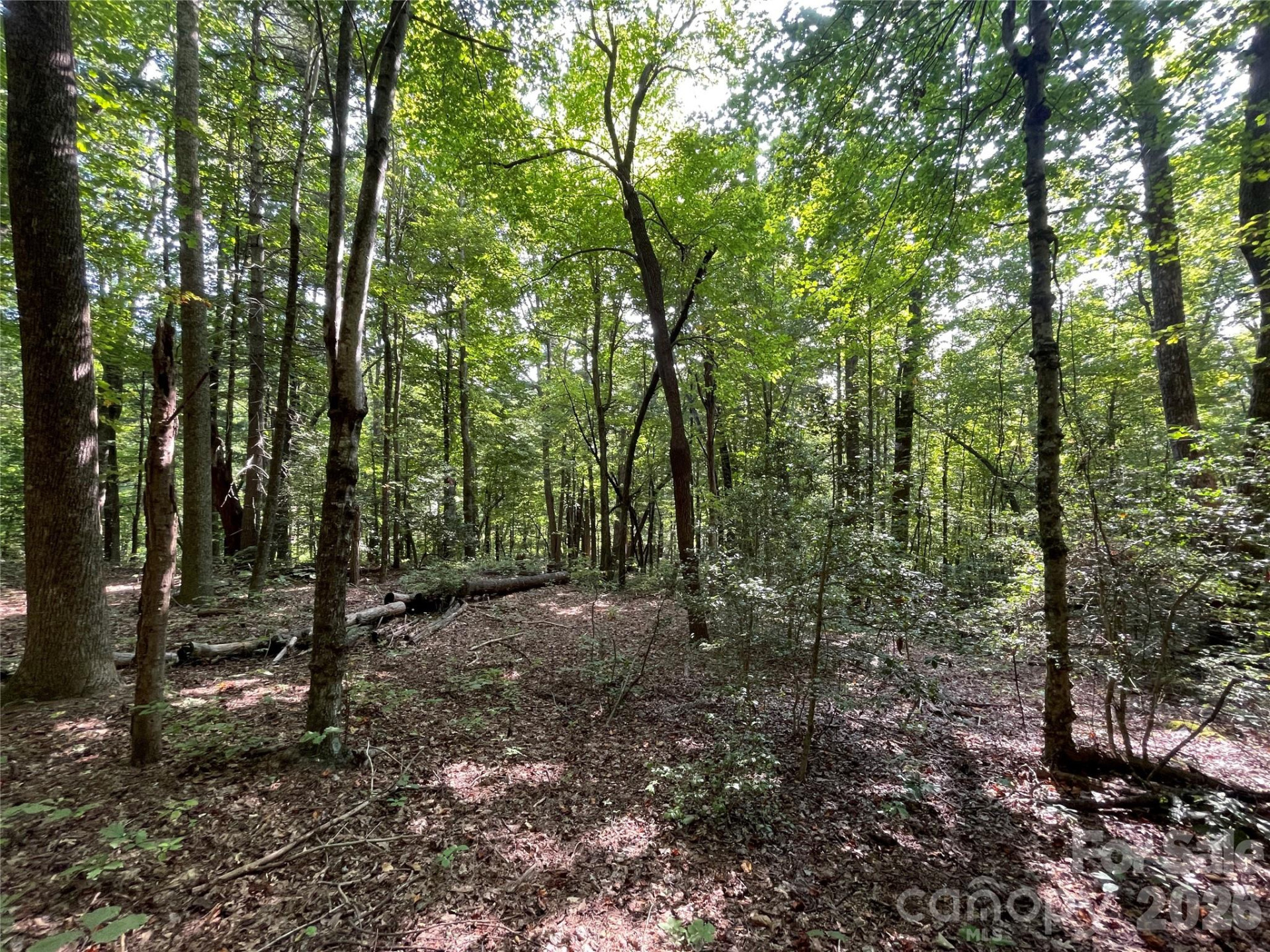 Lot 20 Haverhill Court #20 - Photo 8