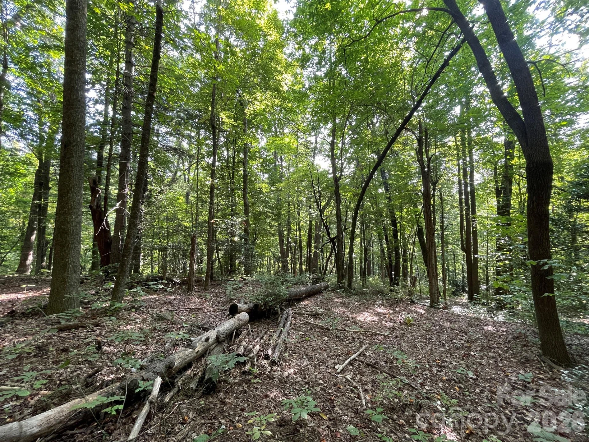 Lot 20 Haverhill Court #20 - Photo 9