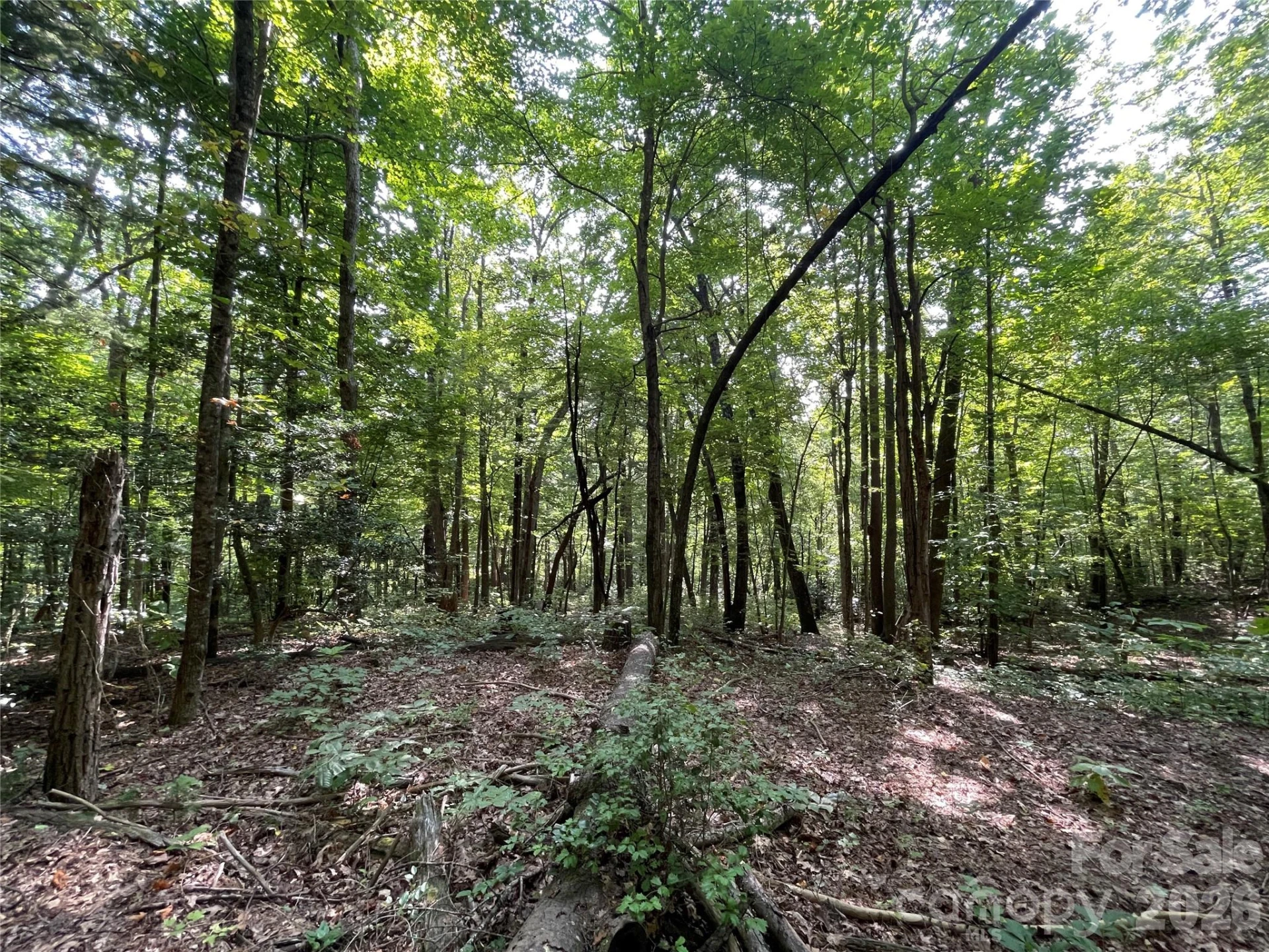 Lot 20 Haverhill Court #20 - Photo 10