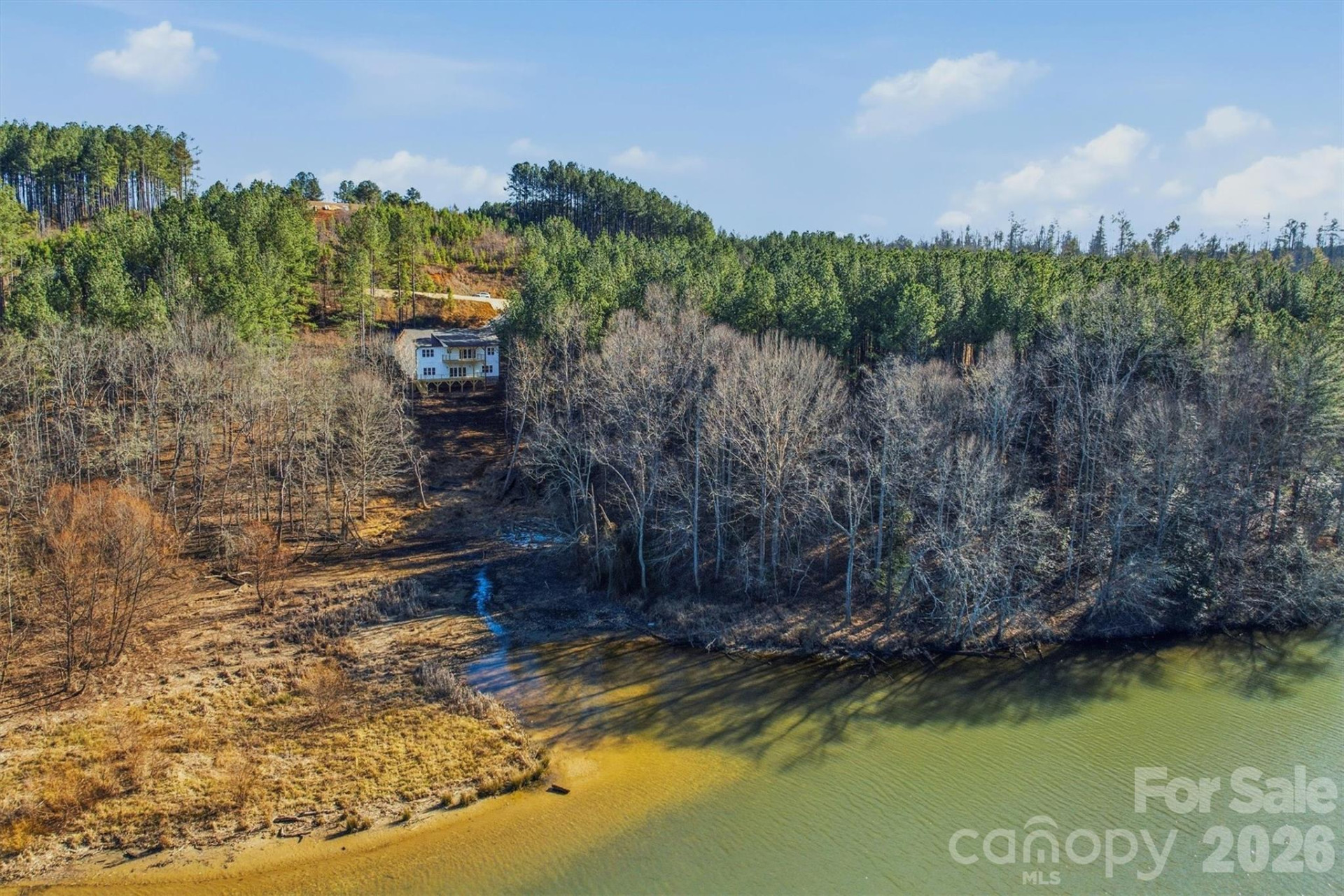 291 Table Rock Trace - Photo 9