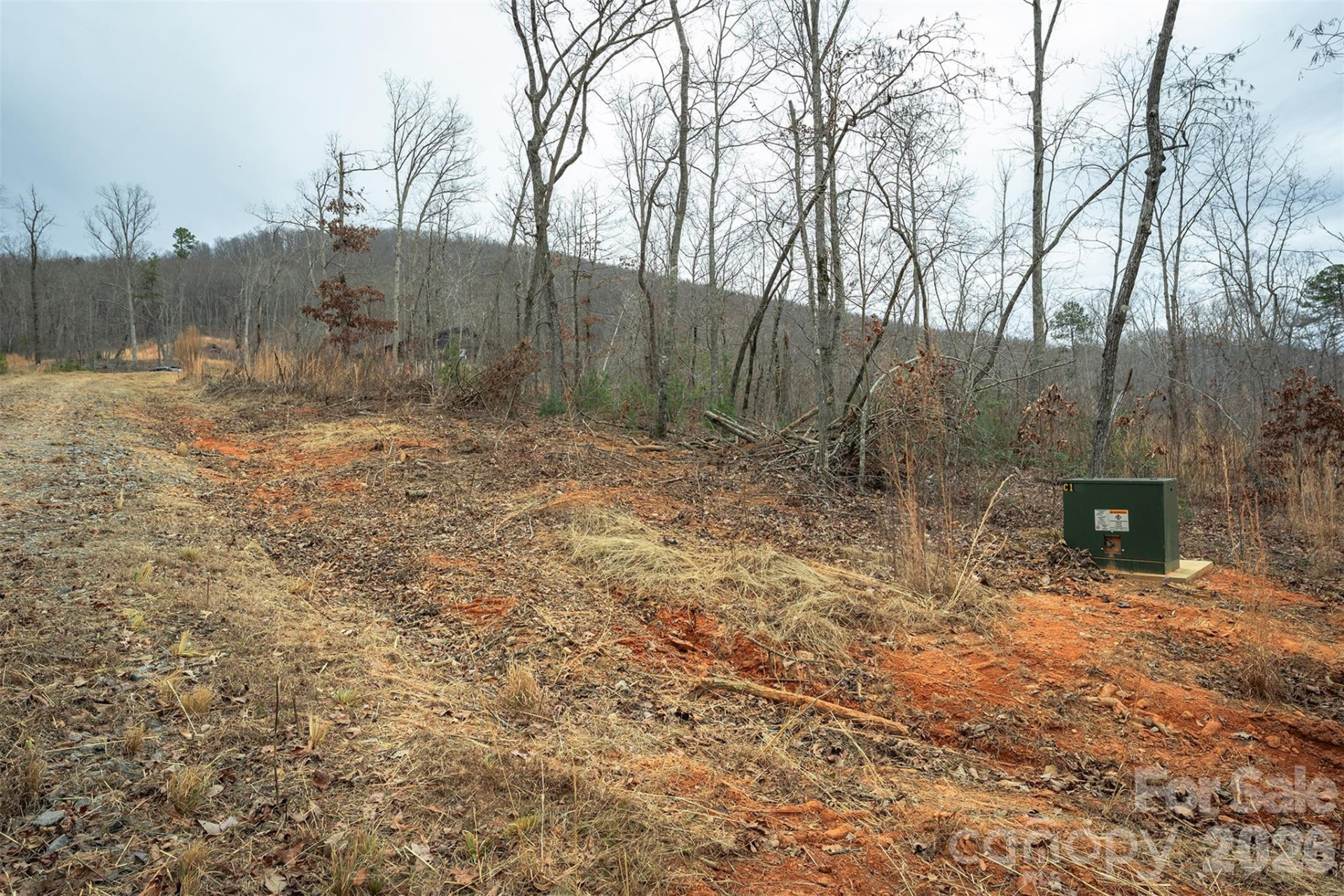 6800 Gold Mine Road - Photo 19