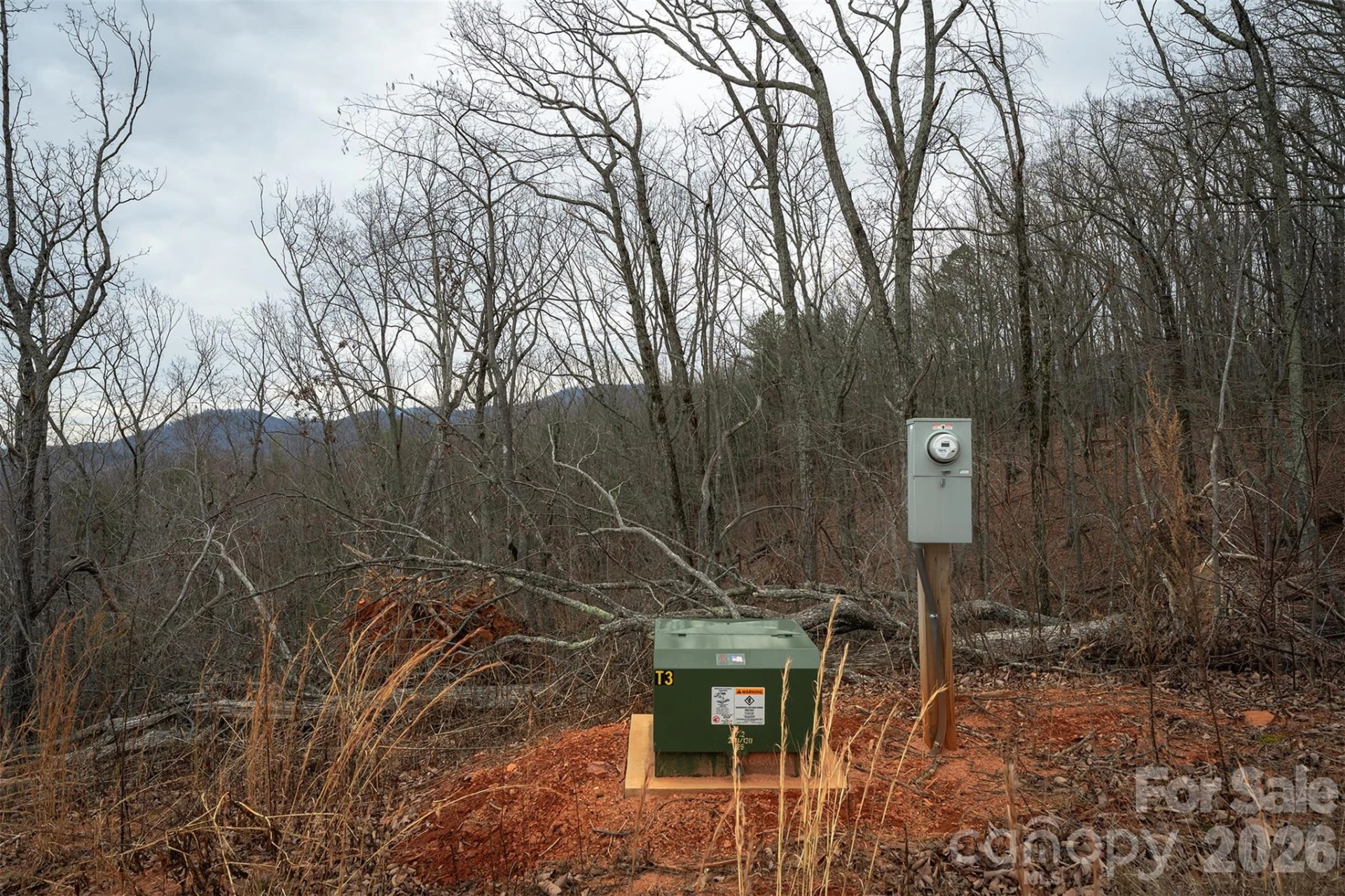 6800 Gold Mine Road - Photo 3