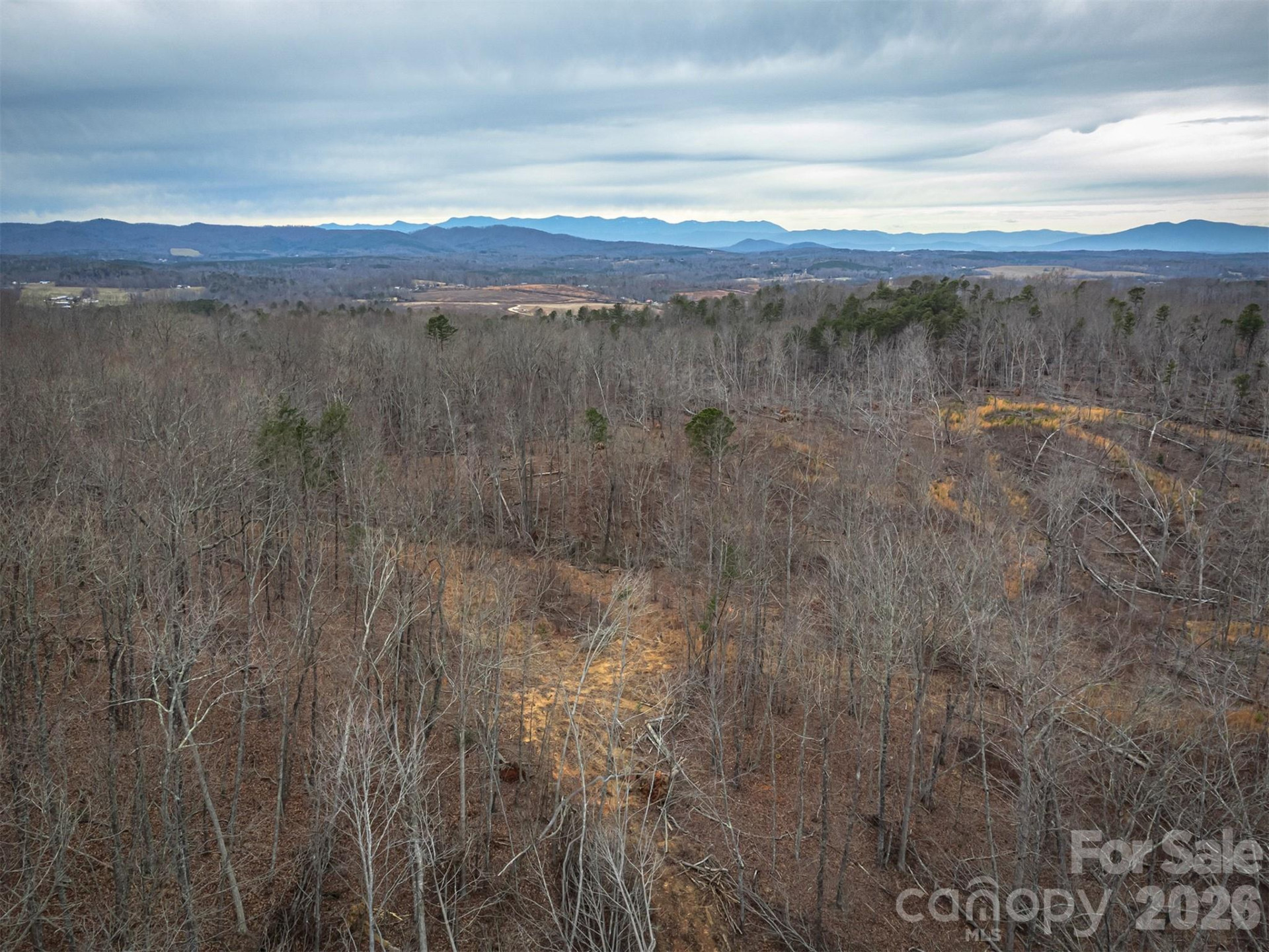 6800 Gold Mine Road - Photo 22