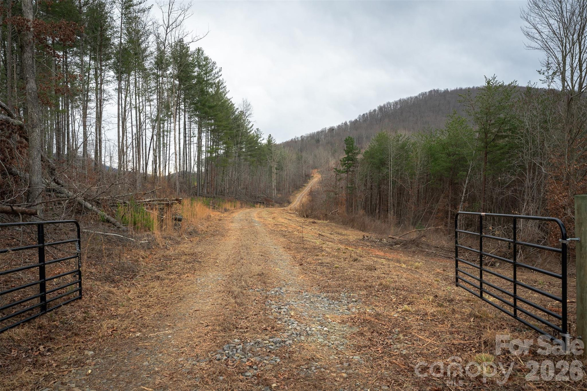 6800 Gold Mine Road - Photo 4