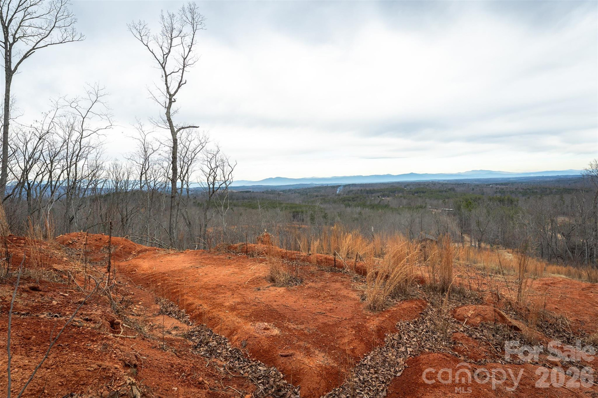 6800 Gold Mine Road - Photo 5