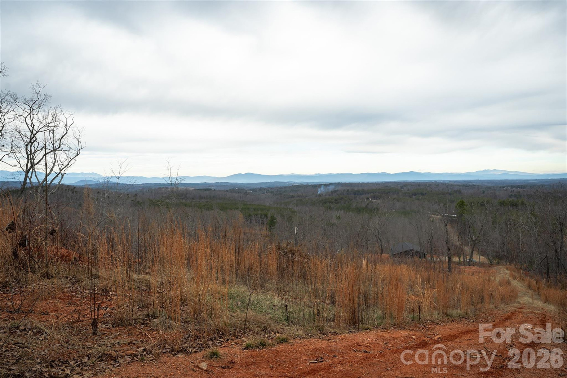 6800 Gold Mine Road - Photo 6