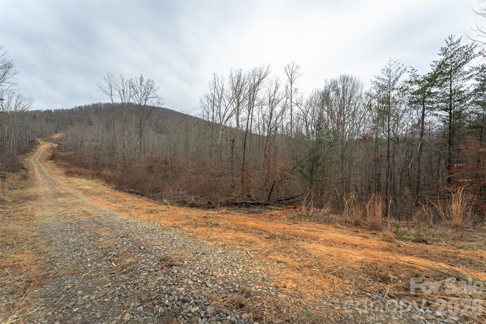6800 Gold Mine Road - Photo 7