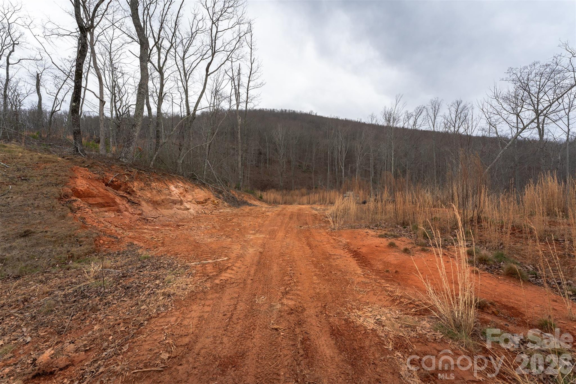 6800 Gold Mine Road - Photo 9