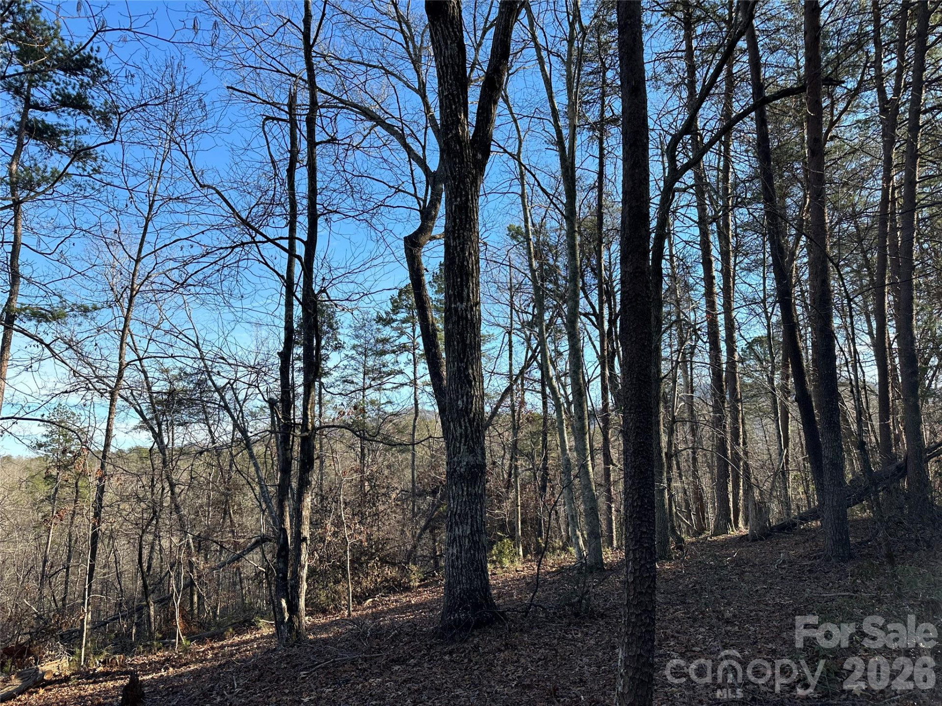 00 Hawkins Lane #8