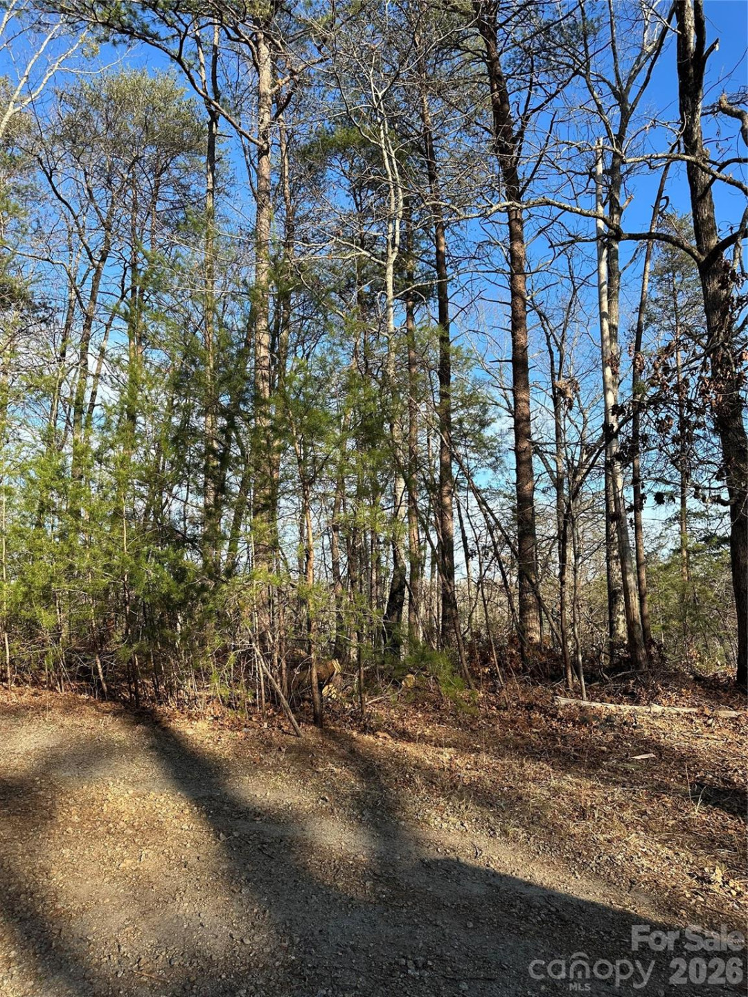 00 Hawkins Lane #8 - Photo 2