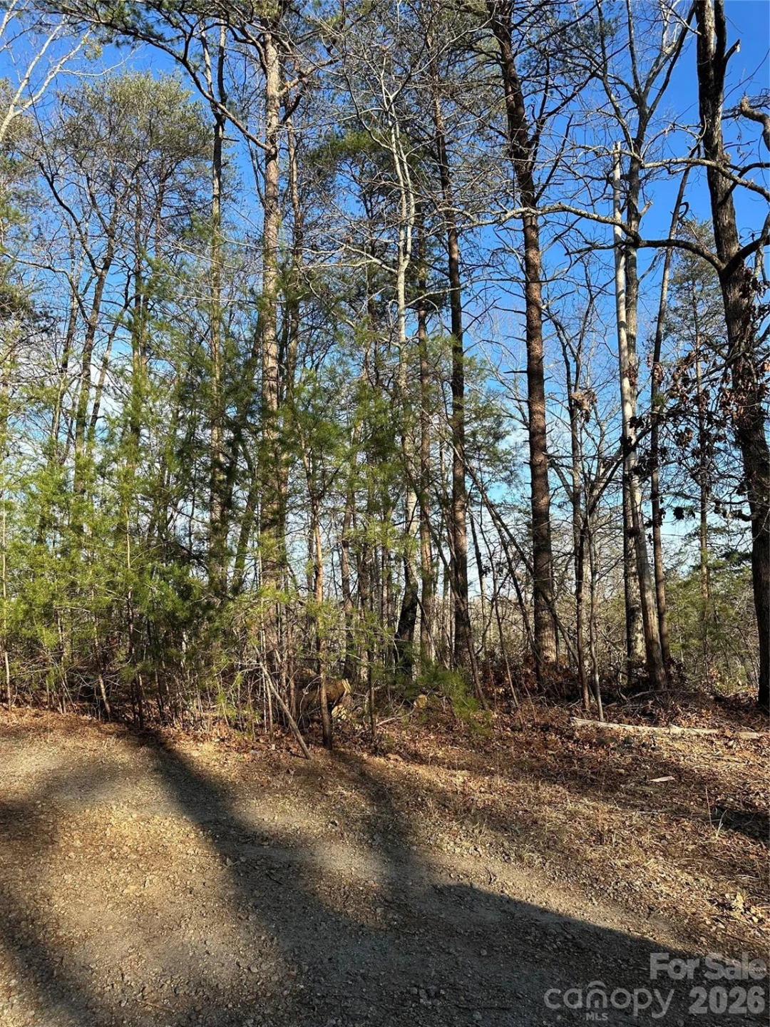 00 Hawkins Lane #8 - Photo 2
