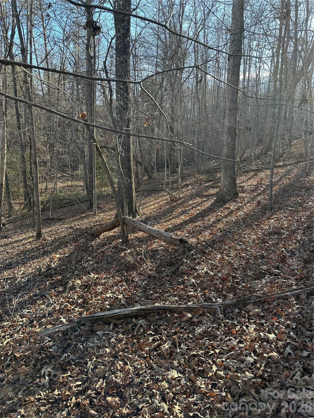 00 Hawkins Lane #8 - Photo 11