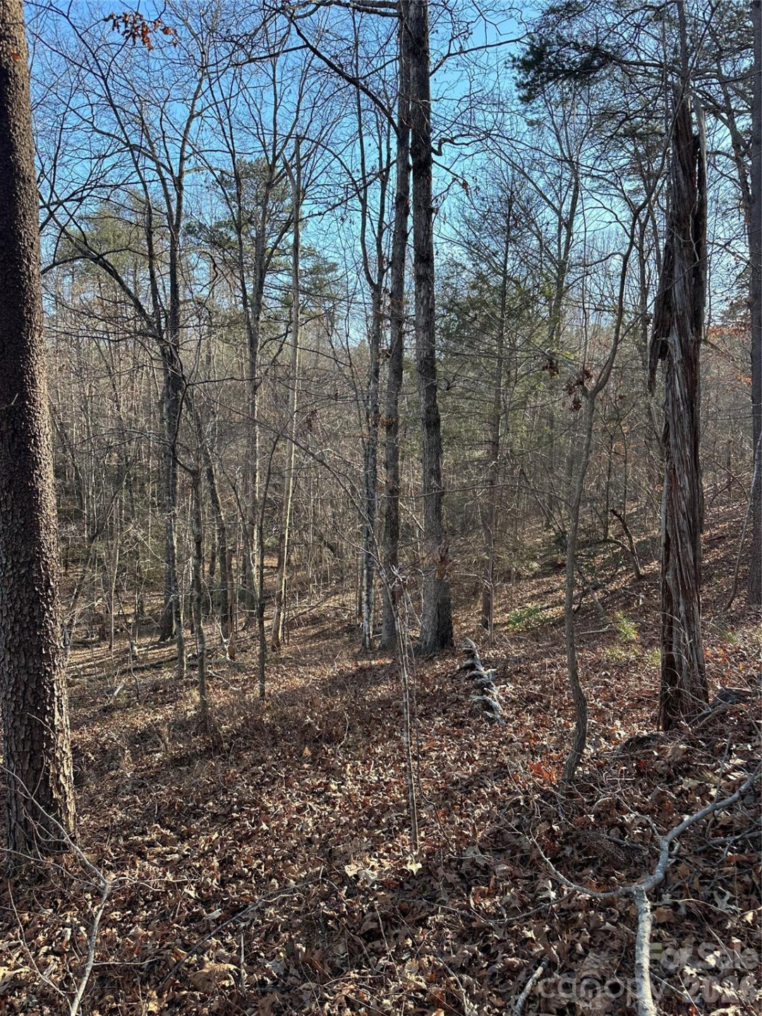 00 Hawkins Lane #8 - Photo 12