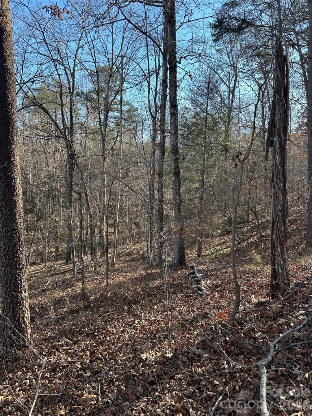 00 Hawkins Lane #8 - Photo 12
