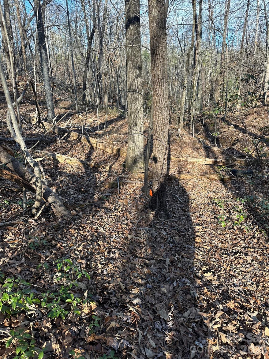 00 Hawkins Lane #8 - Photo 14