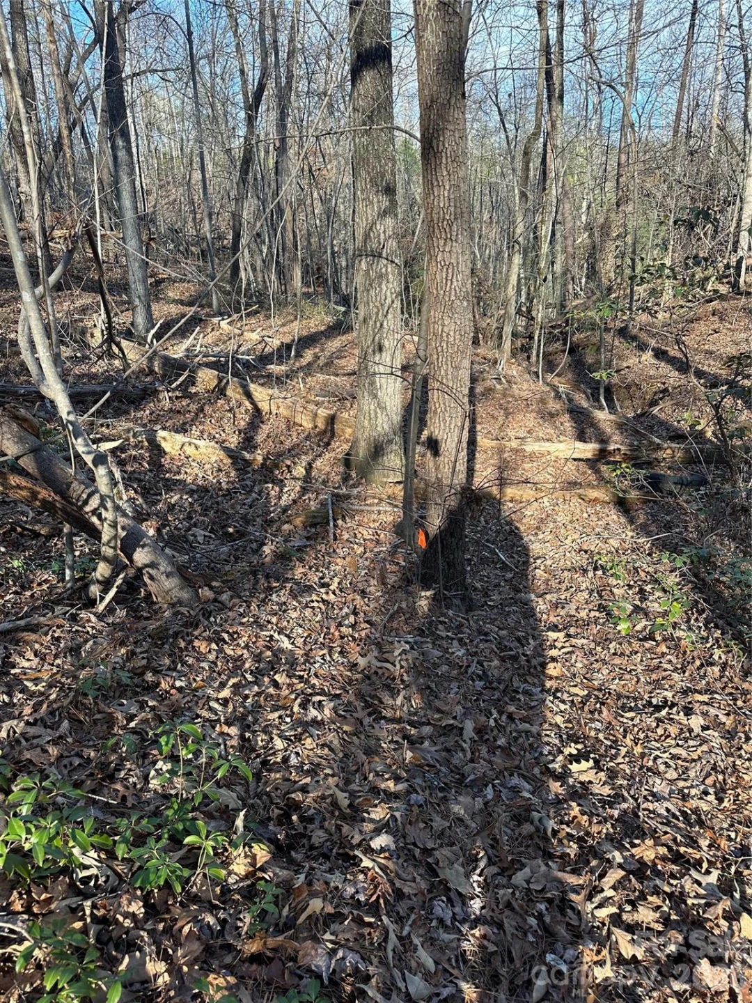 00 Hawkins Lane #8 - Photo 14