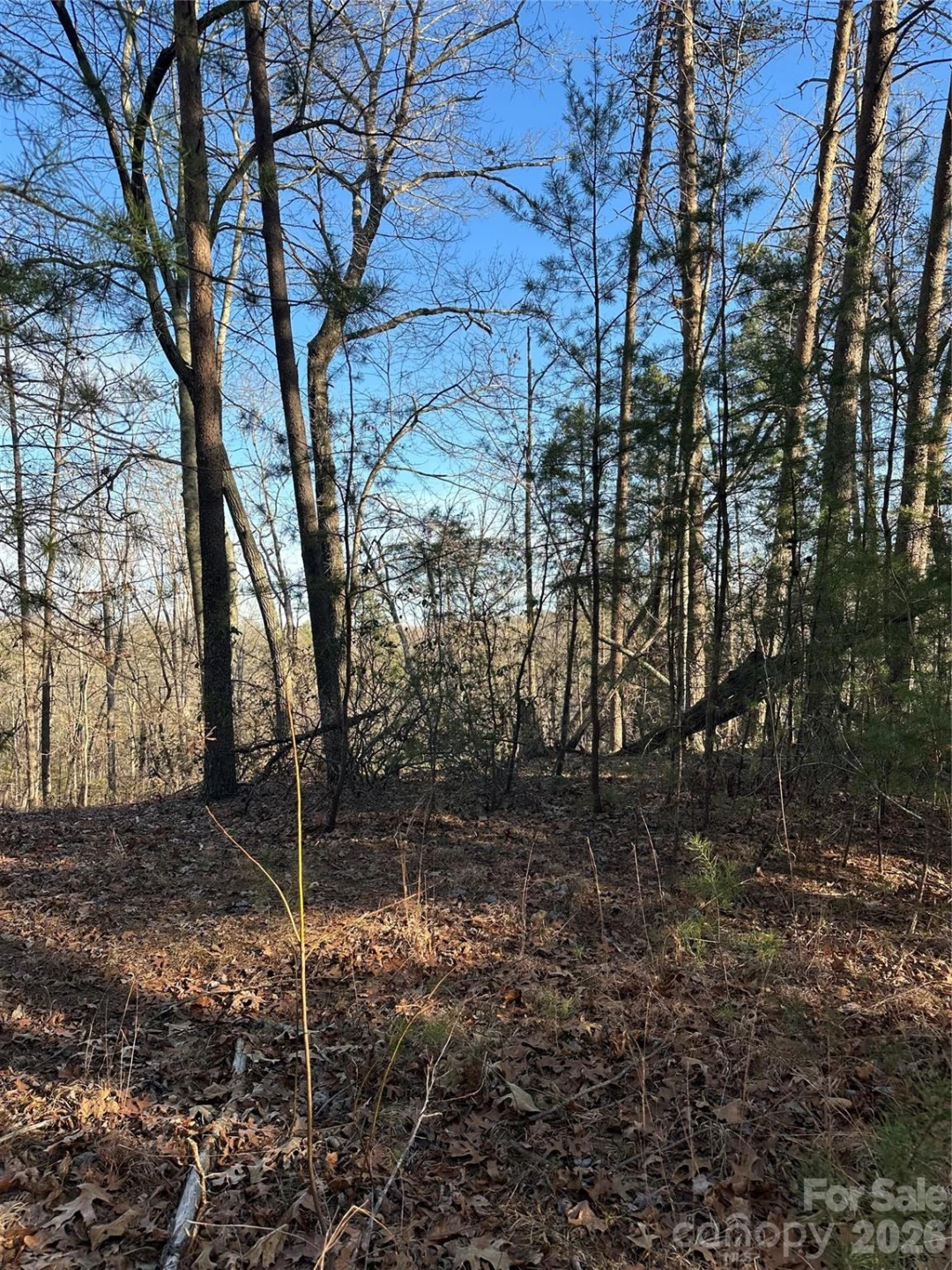 00 Hawkins Lane #8 - Photo 3