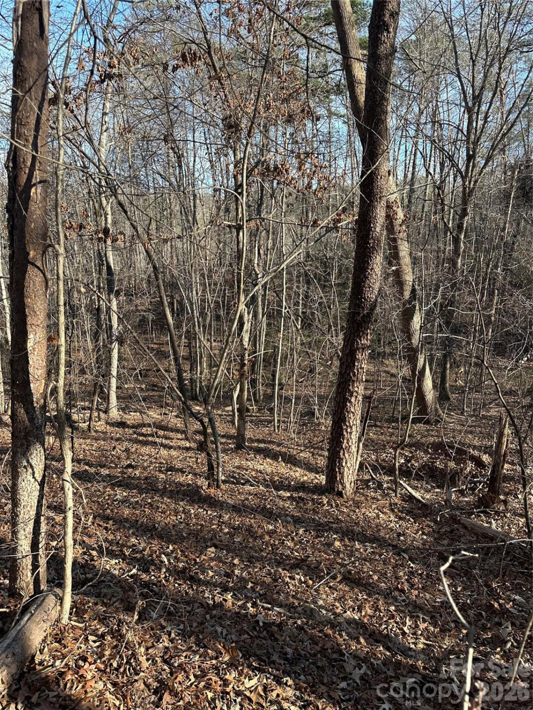 00 Hawkins Lane #8 - Photo 5