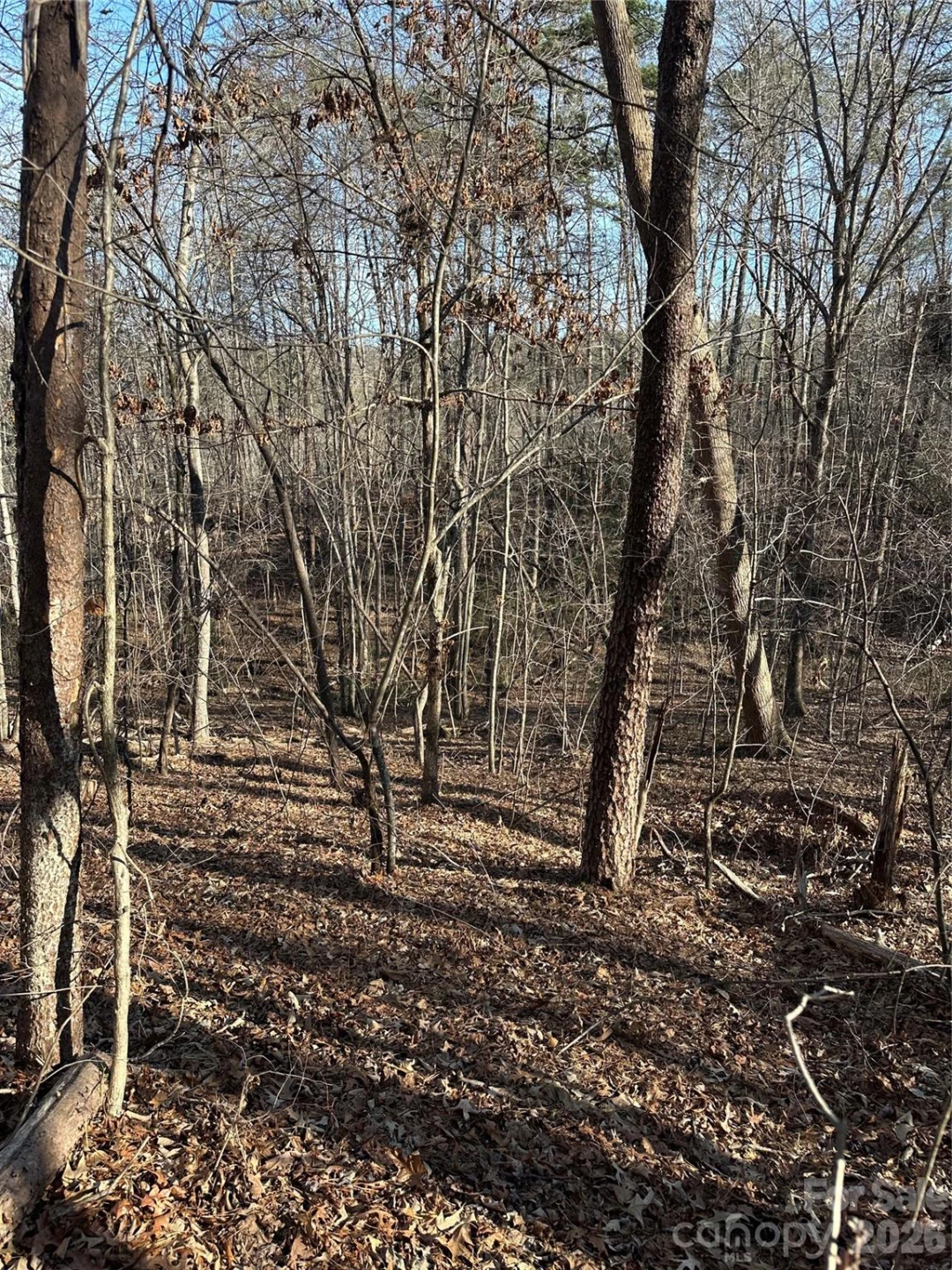 00 Hawkins Lane #8 - Photo 5