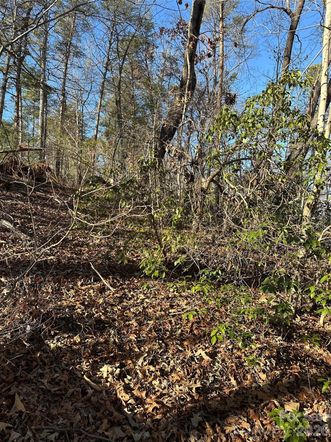 00 Hawkins Lane #8 - Photo 6