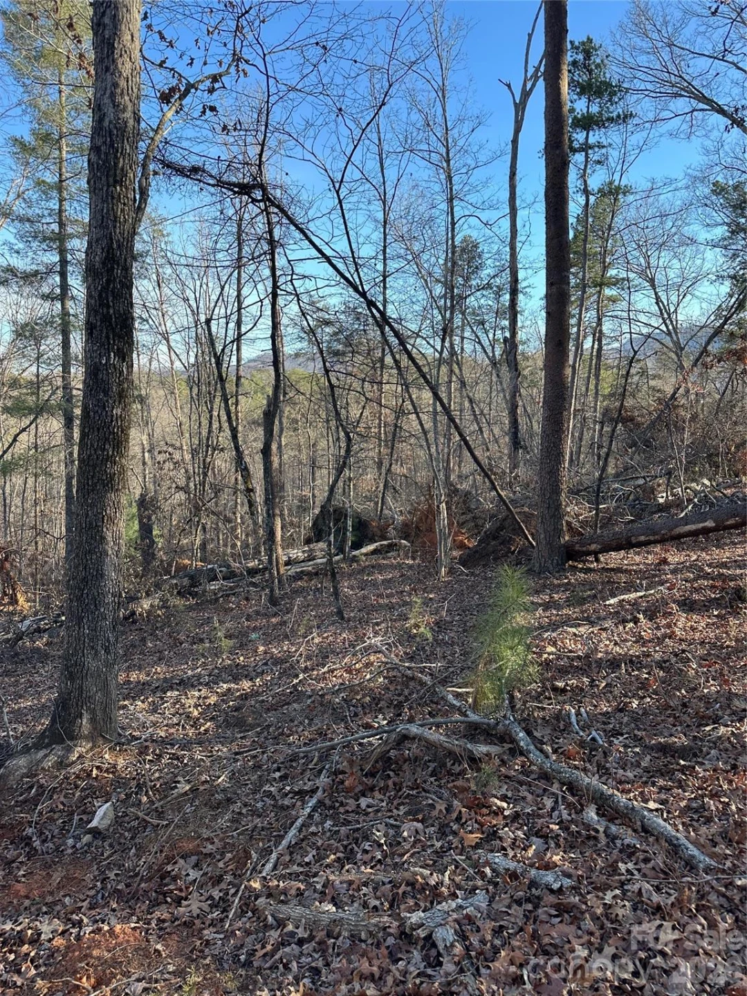00 Hawkins Lane #8 - Photo 7