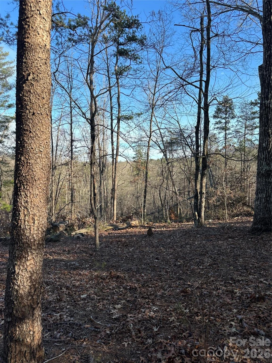 00 Hawkins Lane #8 - Photo 8