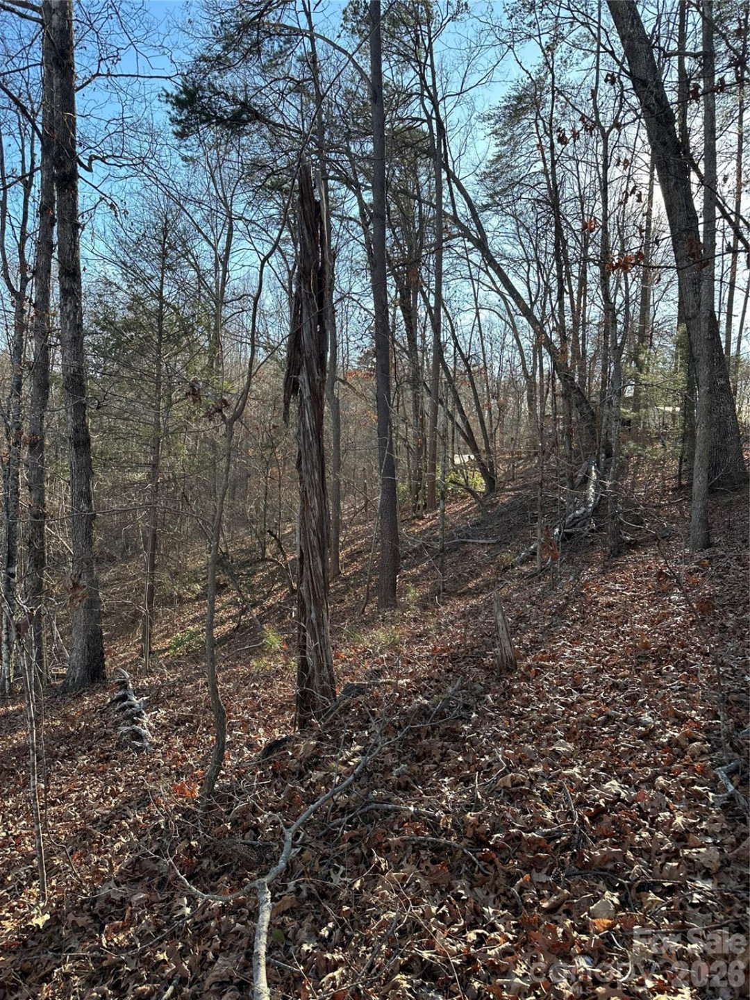00 Hawkins Lane #8 - Photo 9