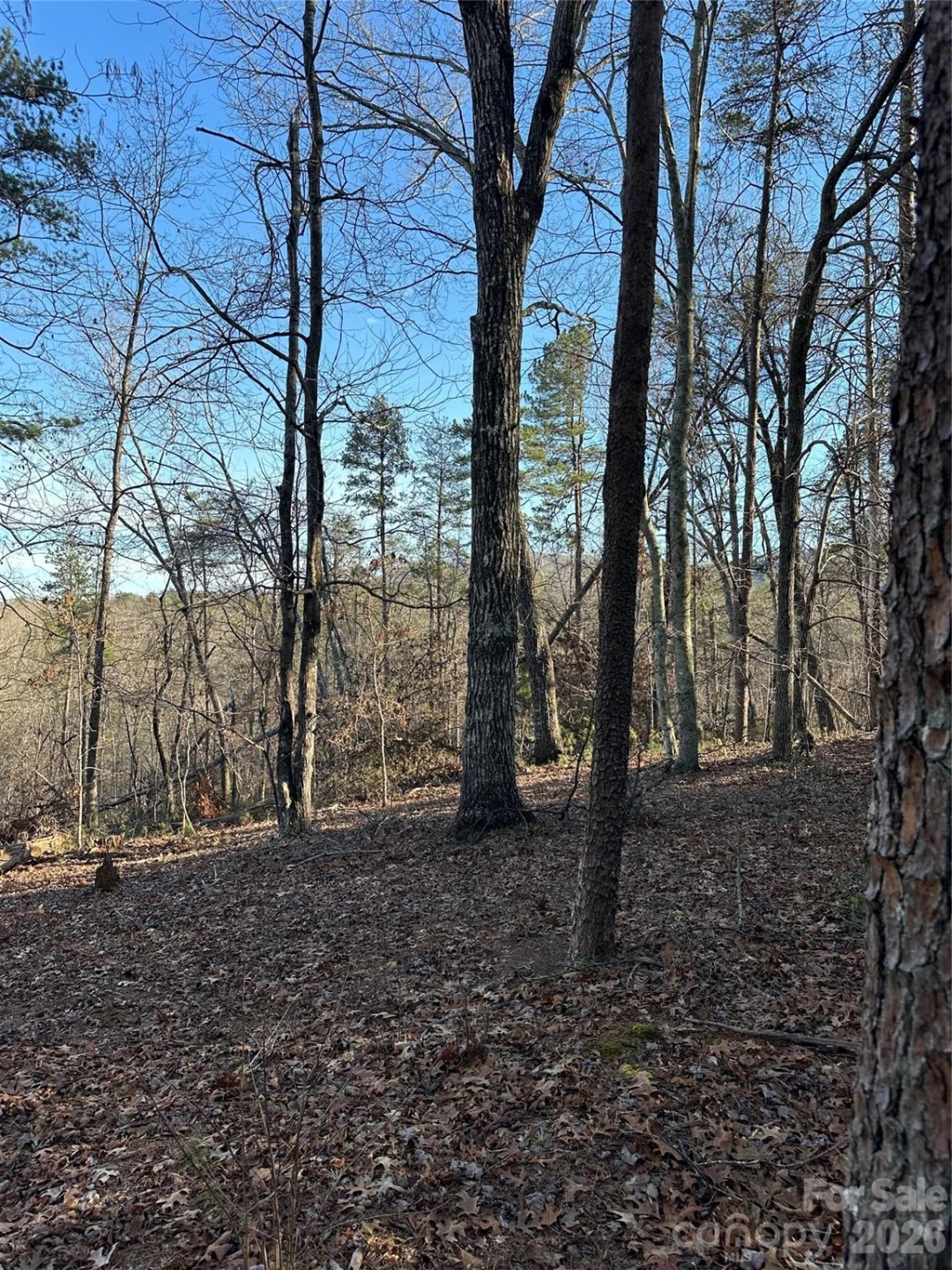 00 Hawkins Lane #8 - Photo 10