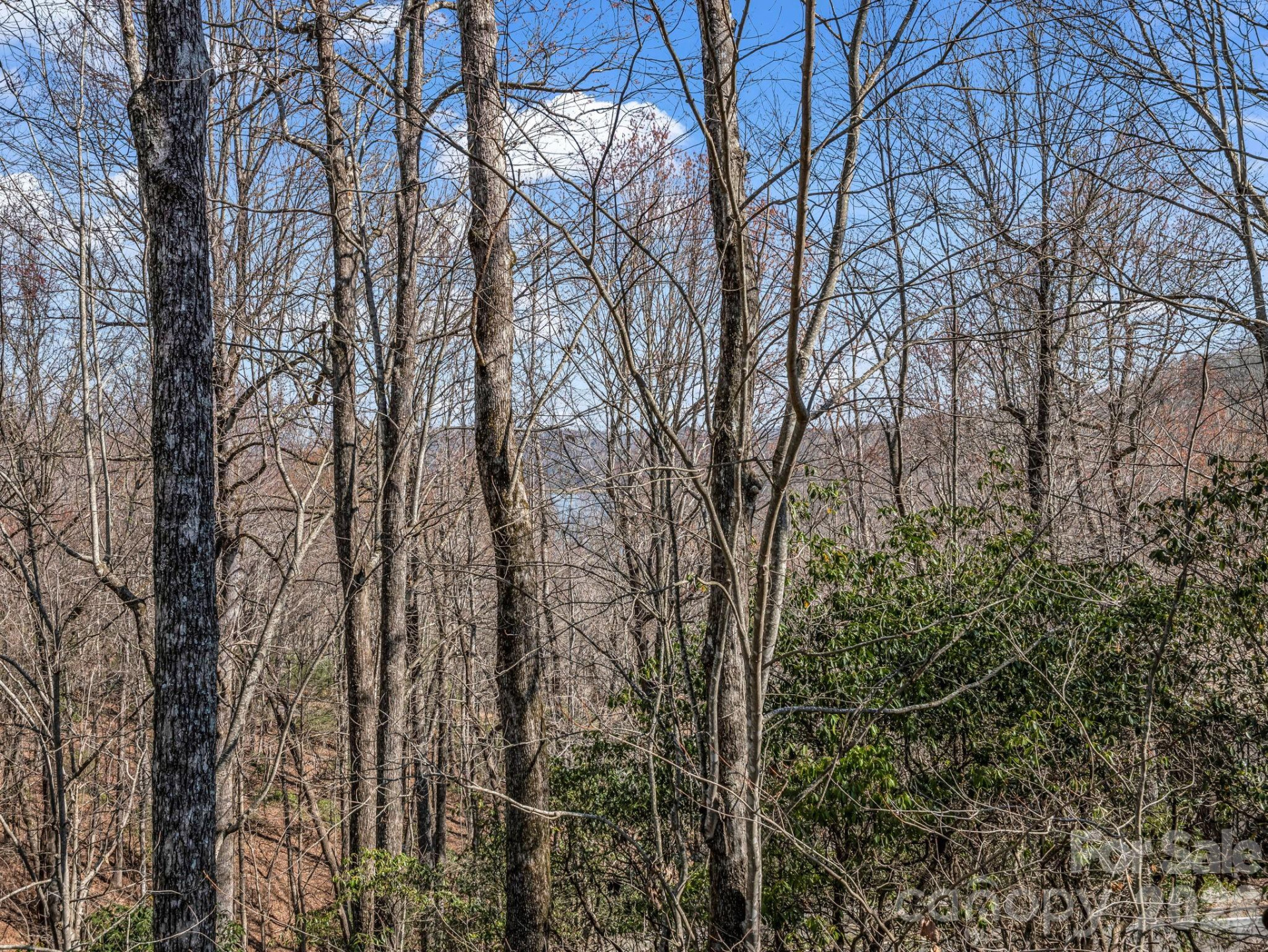 177 Tsisqua Circle - Photo 24