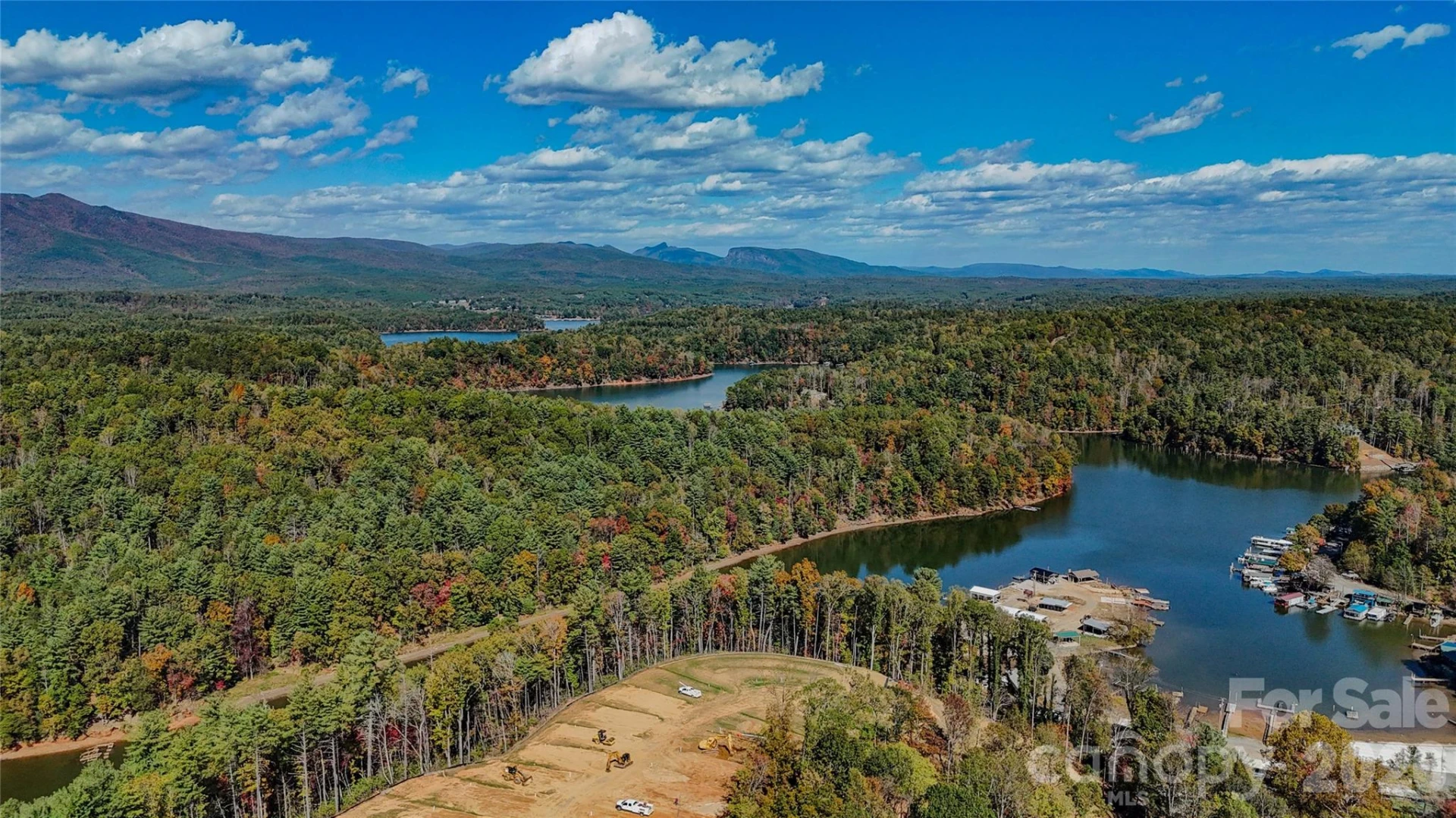 TBD Bluehill Parkway #109 - Photo 9