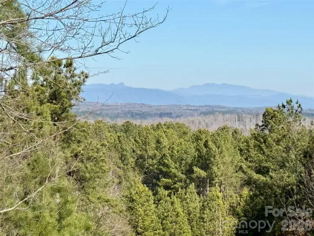 338 Grandview Peaks Drive