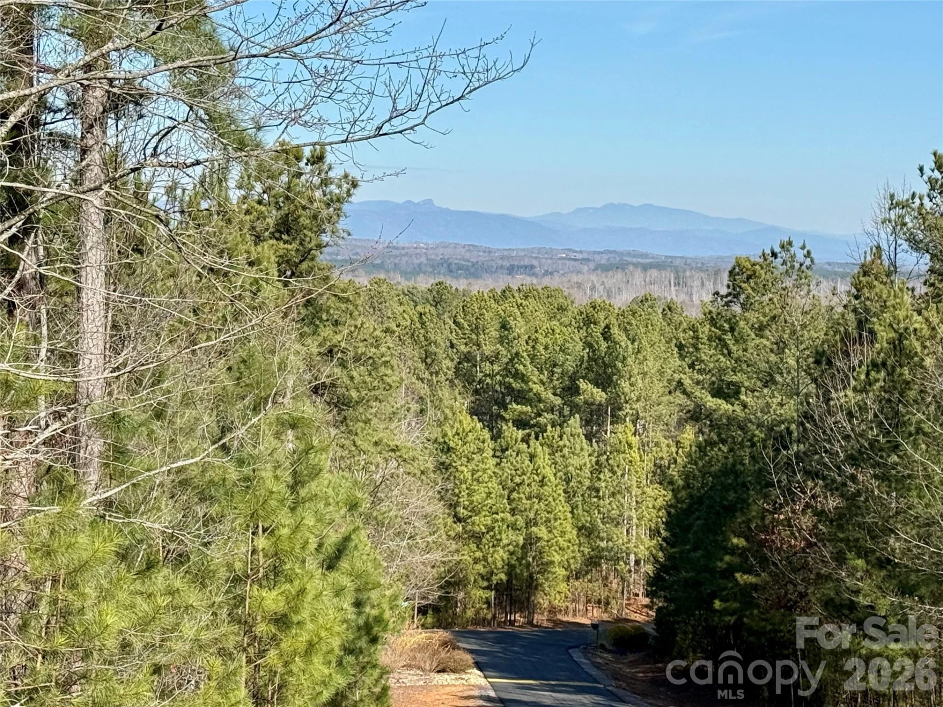 338 Grandview Peaks Drive #36 - Photo 2