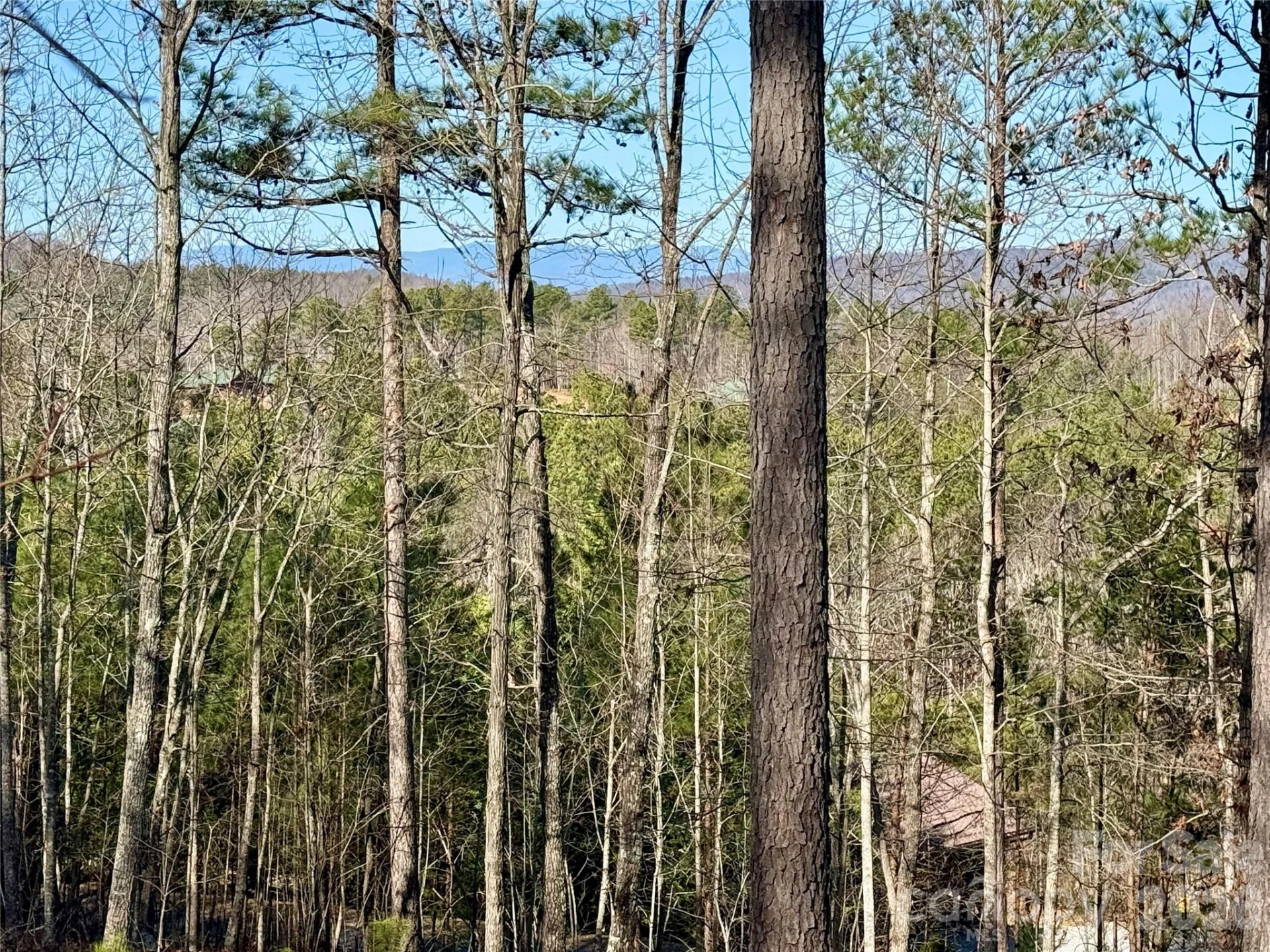 338 Grandview Peaks Drive #36 - Photo 11