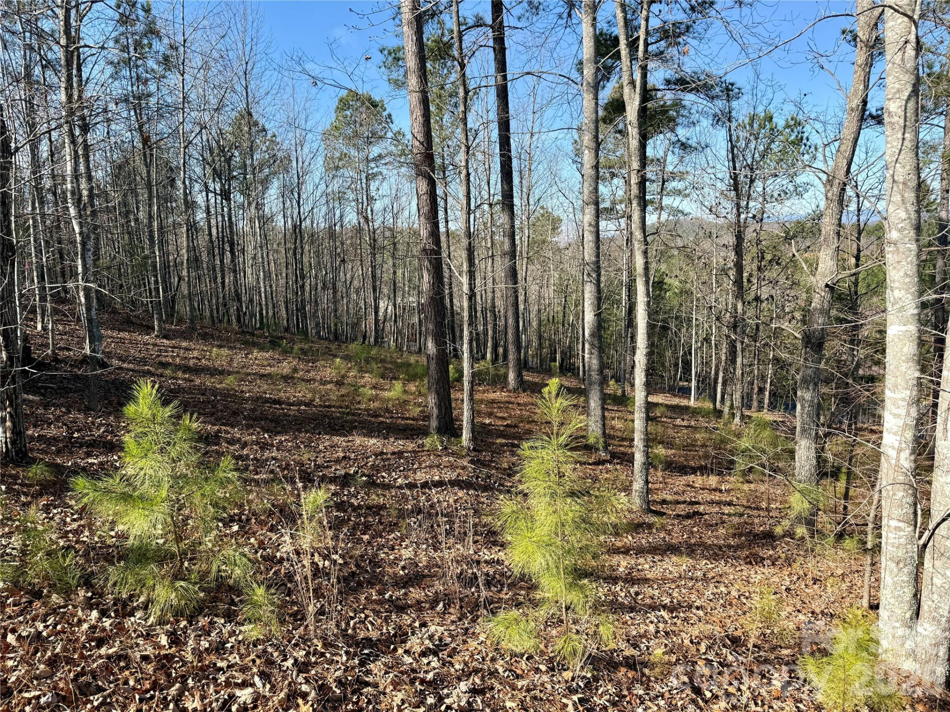 338 Grandview Peaks Drive #36 - Photo 12