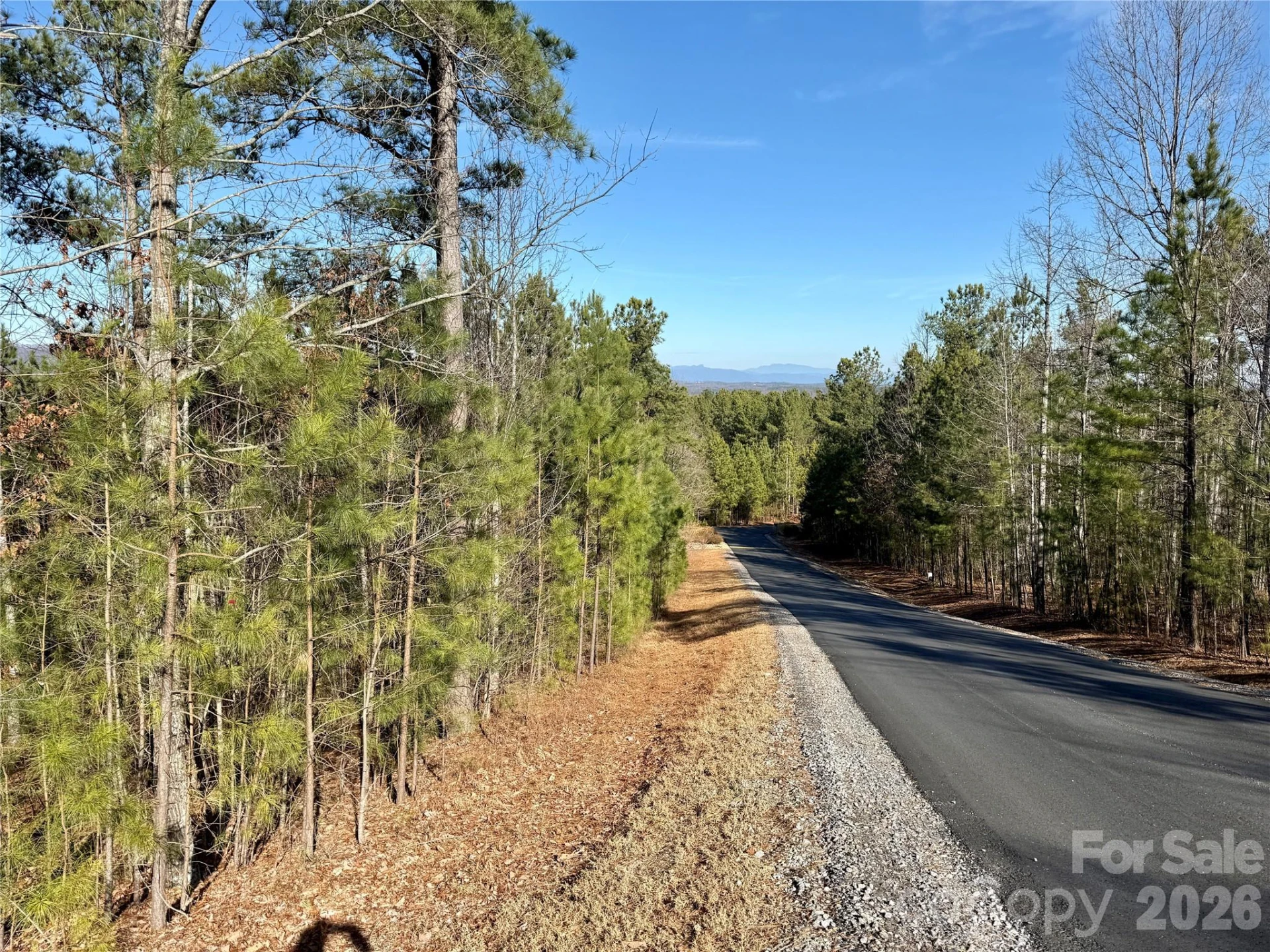 338 Grandview Peaks Drive #36 - Photo 14