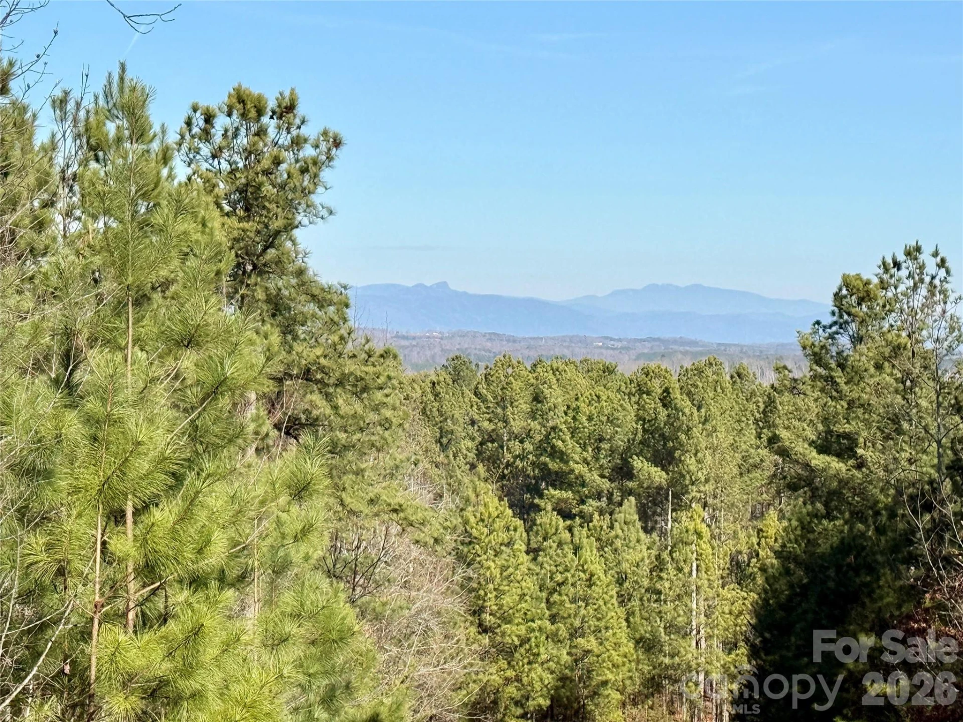 338 Grandview Peaks Drive #36 - Photo 15