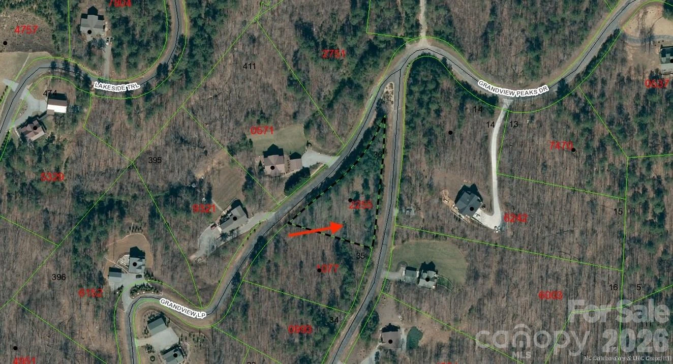 338 Grandview Peaks Drive #36 - Photo 16