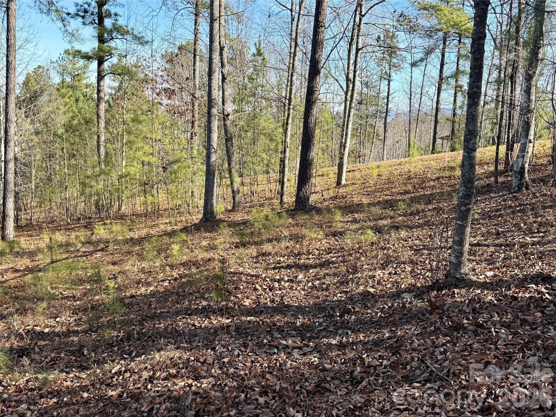 338 Grandview Peaks Drive #36 - Photo 4